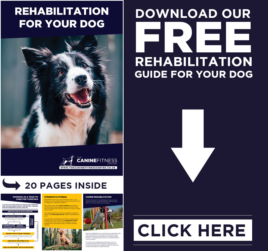 Download our rehabilitation guide
